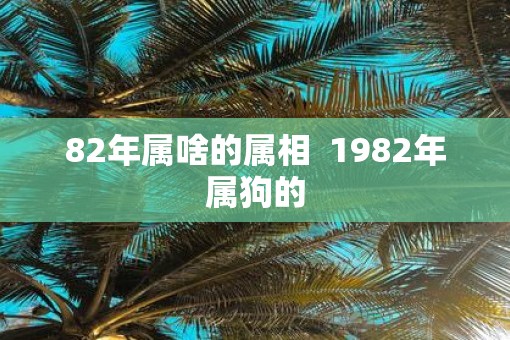 82年属啥的属相  1982年属狗的