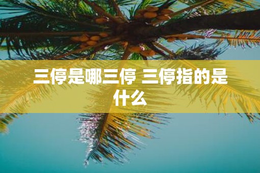 三停是哪三停 三停指的是什么