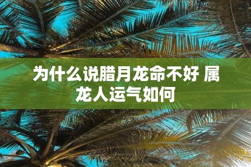 为什么说腊月龙命不好 属龙人运气如何