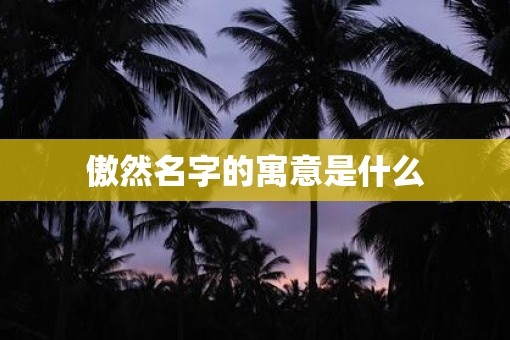 傲然名字的寓意是什么