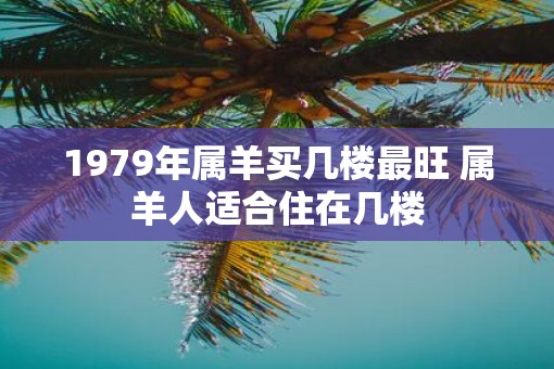 1979年属羊买几楼最旺 属羊人适合住在几楼