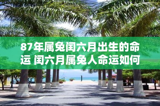 87年属兔闰六月出生的命运 闰六月属兔人命运如何