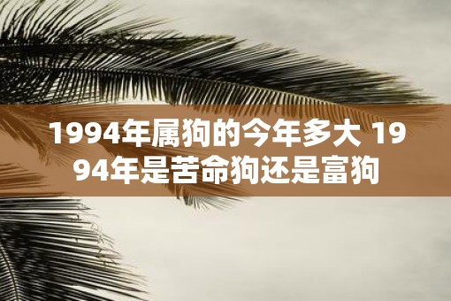 1994年属狗的今年多大 1994年是苦命狗还是富狗