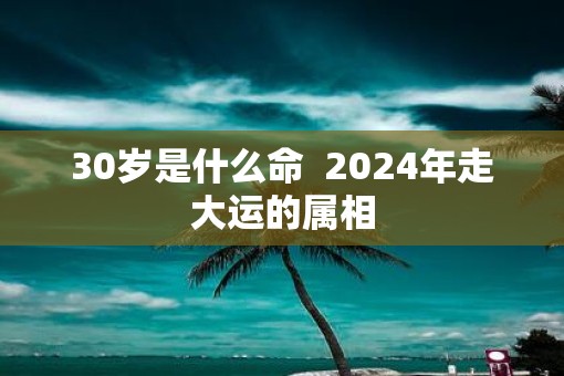30岁是什么命  2025年走大运的属相