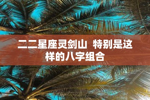 二二星座灵剑山  特别是这样的八字组合