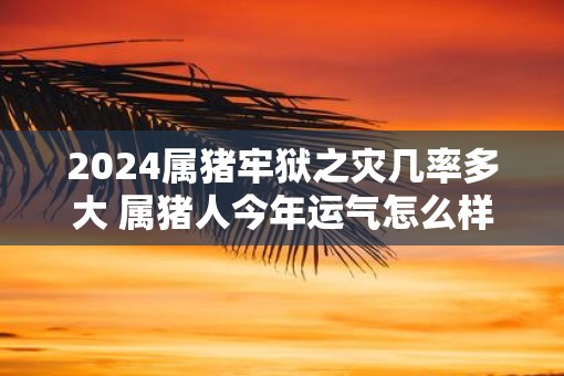 2025属猪牢狱之灾几率多大 属猪人今年运气怎么样