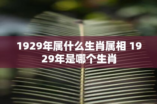 1929年属什么生肖属相 1929年是哪个生肖