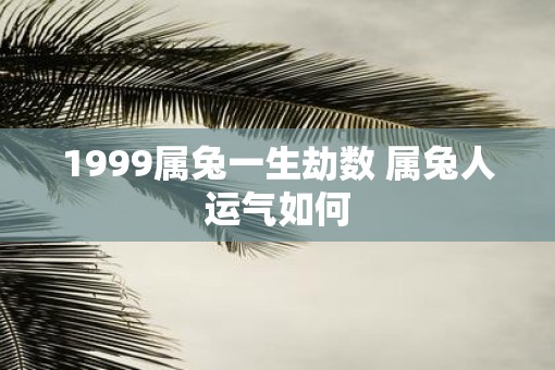 1999属兔一生劫数 属兔人运气如何