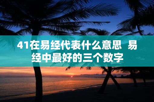 41在易经代表什么意思  易经中最好的三个数字