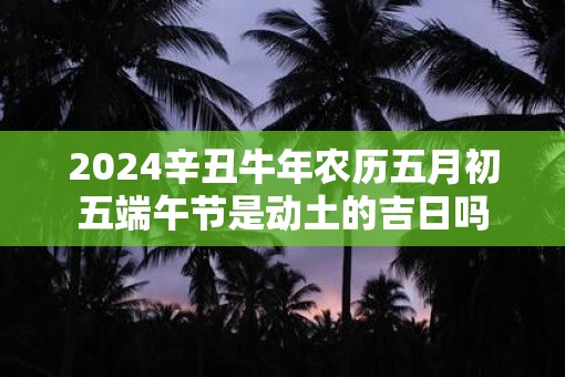 2025辛丑牛年农历五月初五端午节是动土的吉日吗