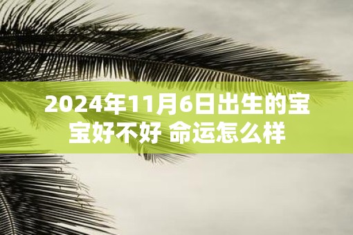 2025年11月6日出生的宝宝好不好 命运怎么样