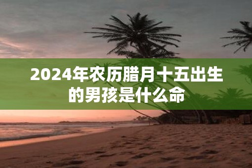 2025年农历腊月十五出生的男孩是什么命
