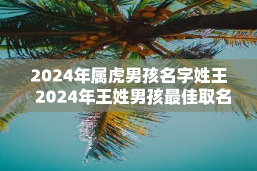 2025年属虎男孩名字姓王  2025年王姓男孩最佳取名