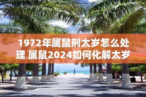 1972年属鼠刑太岁怎么处理 属鼠2025如何化解太岁