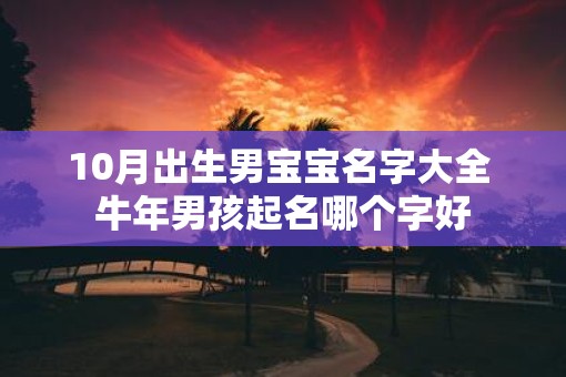 10月出生男宝宝名字大全 牛年男孩起名哪个字好
