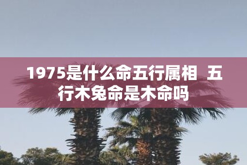 1975是什么命五行属相  五行木兔命是木命吗