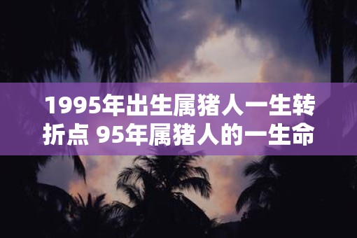 1995年出生属猪人一生转折点 95年属猪人的一生命运