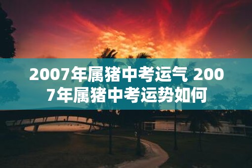 2007年属猪中考运气 2007年属猪中考运势如何