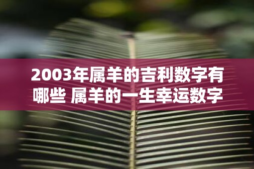 2003年属羊的吉利数字有哪些 属羊的一生幸运数字查询