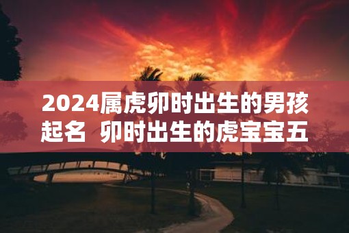 2025属虎卯时出生的男孩起名  卯时出生的虎宝宝五行如何
