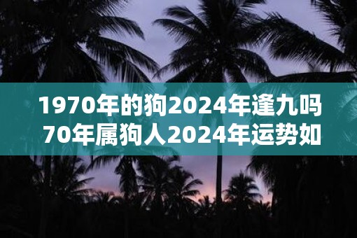 1970年的狗2025年逢九吗 70年属狗人2025年运势如何