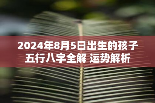 2025年8月5日出生的孩子五行八字全解 运势解析