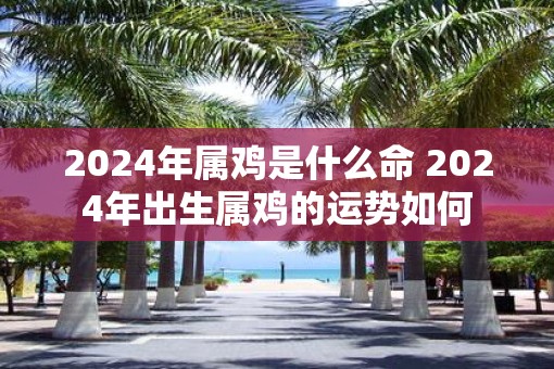 2025年属鸡是什么命 2025年出生属鸡的运势如何