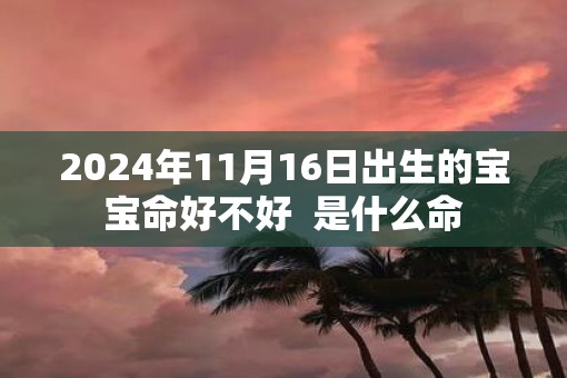 2025年11月16日出生的宝宝命好不好  是什么命