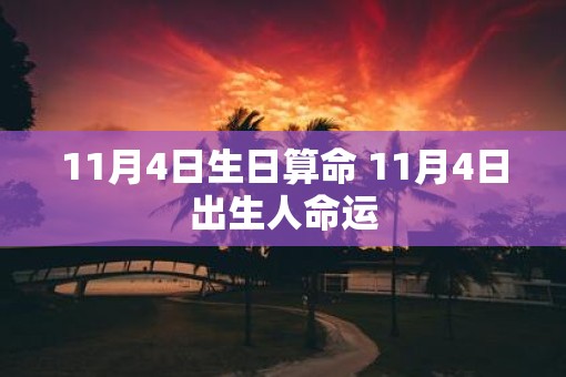11月4日生日算命 11月4日出生人命运
