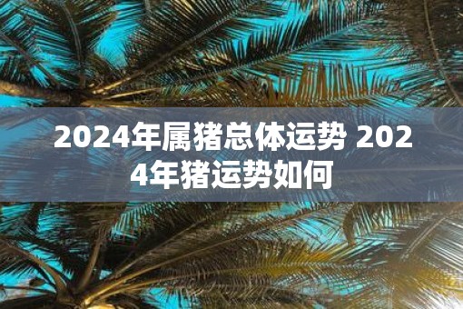 2025年属猪总体运势 2025年猪运势如何