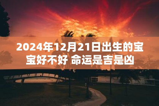 2025年12月21日出生的宝宝好不好 命运是吉是凶