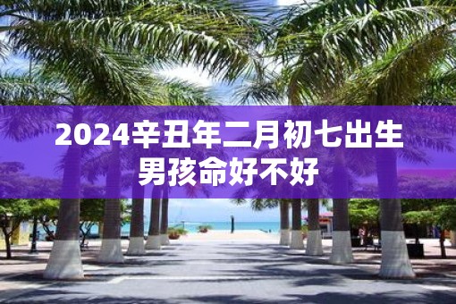 2025辛丑年二月初七出生男孩命好不好