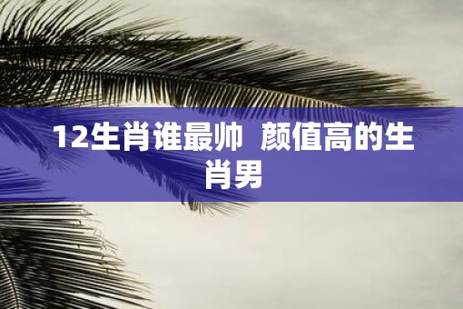 12生肖谁最帅  颜值高的生肖男