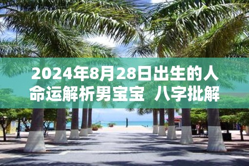2025年8月28日出生的人命运解析男宝宝  八字批解