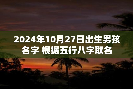 2025年10月27日出生男孩名字 根据五行八字取名