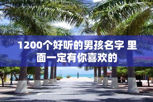 1200个好听的男孩名字 里面一定有你喜欢的