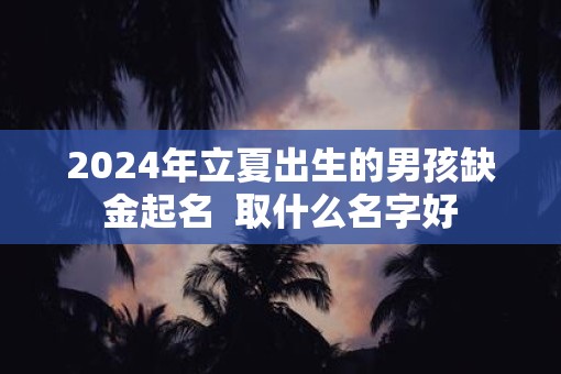 2025年立夏出生的男孩缺金起名  取什么名字好