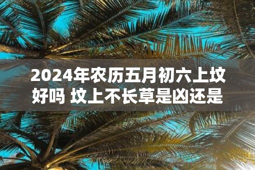 2025年农历五月初六上坟好吗 坟上不长草是凶还是吉