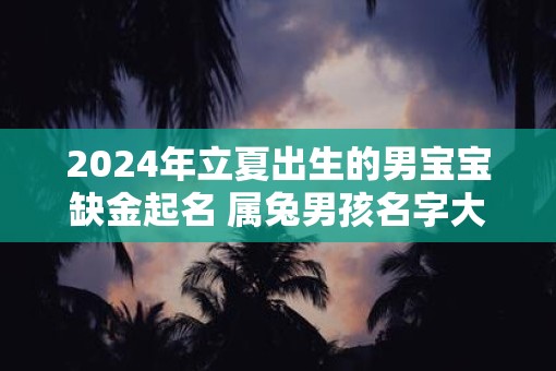 2025年立夏出生的男宝宝缺金起名 属兔男孩名字大全