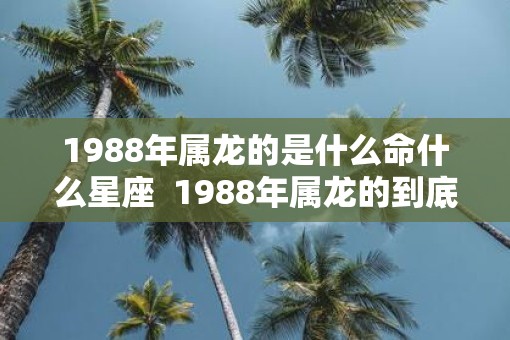 1988年属龙的是什么命什么星座  1988年属龙的到底是什么命