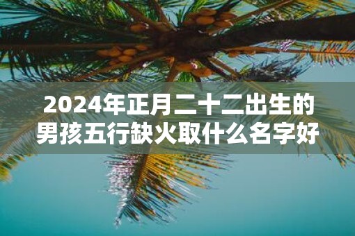 2025年正月二十二出生的男孩五行缺火取什么名字好