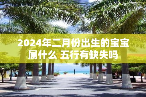 2025年二月份出生的宝宝属什么 五行有缺失吗