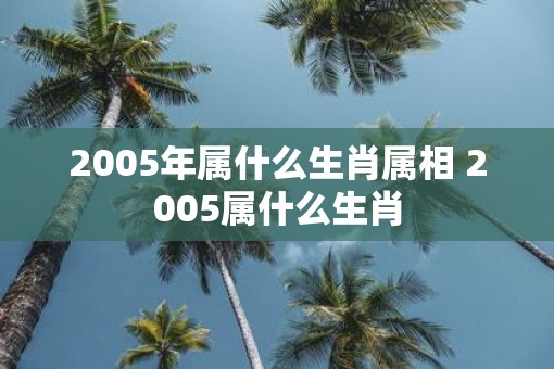 2005年属什么生肖属相 2005属什么生肖