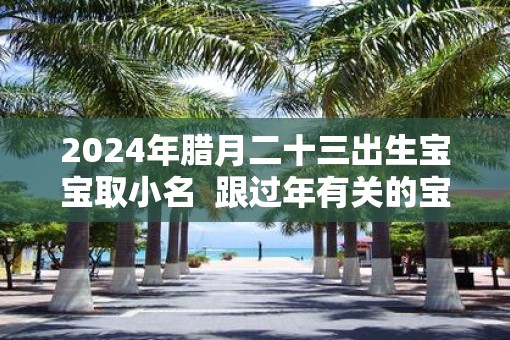 2025年腊月二十三出生宝宝取小名  跟过年有关的宝宝小名
