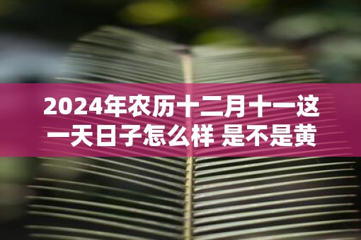 2025年农历十二月十一这一天日子怎么样 是不是黄道吉日