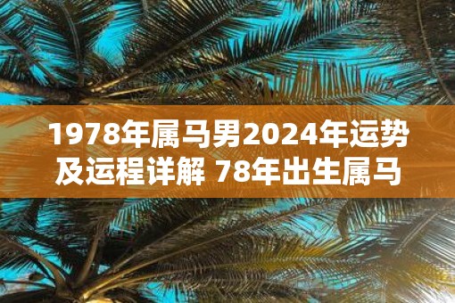 1978年属马男2025年运势及运程详解 78年出生属马人2025全年每月运势男性