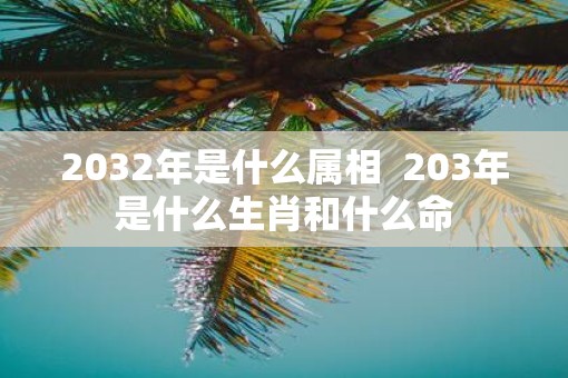 2032年是什么属相  203年是什么生肖和什么命