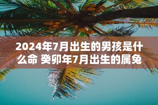 2025年7月出生的男孩是什么命 癸卯年7月出生的属兔男孩运势怎么样