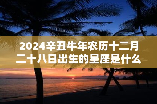 2025辛丑牛年农历十二月二十八日出生的星座是什么