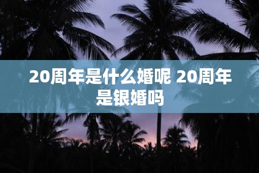 20周年是什么婚呢 20周年是银婚吗
